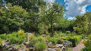 Das Bild zeigt einen Garten. 