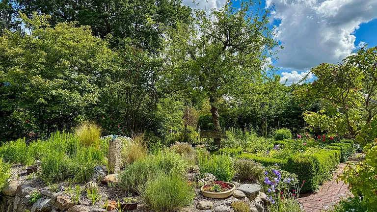 Das Bild zeigt einen Garten. 