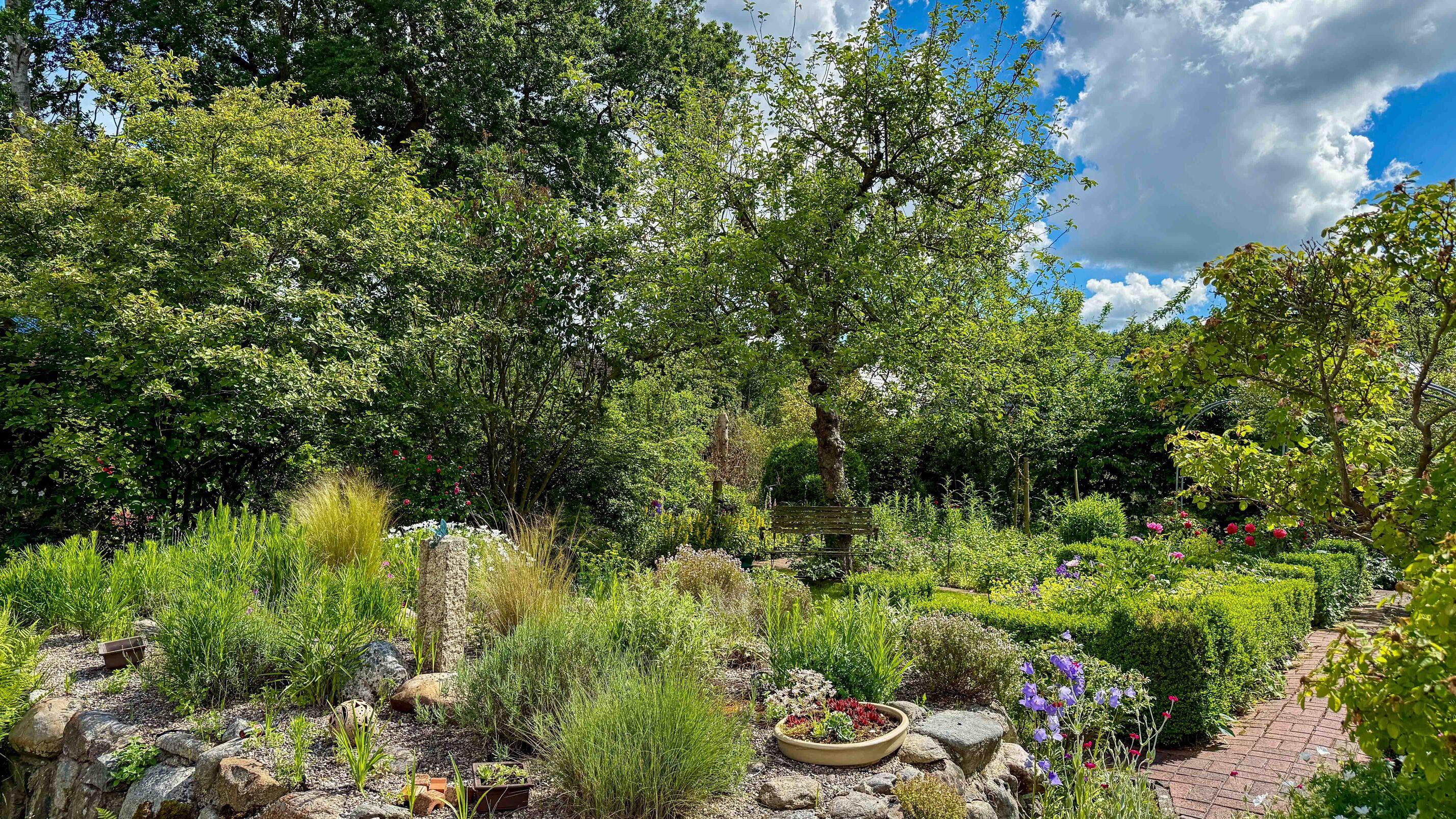 Das Bild zeigt einen Garten. 