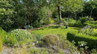Das Bild zeigt einen Garten.