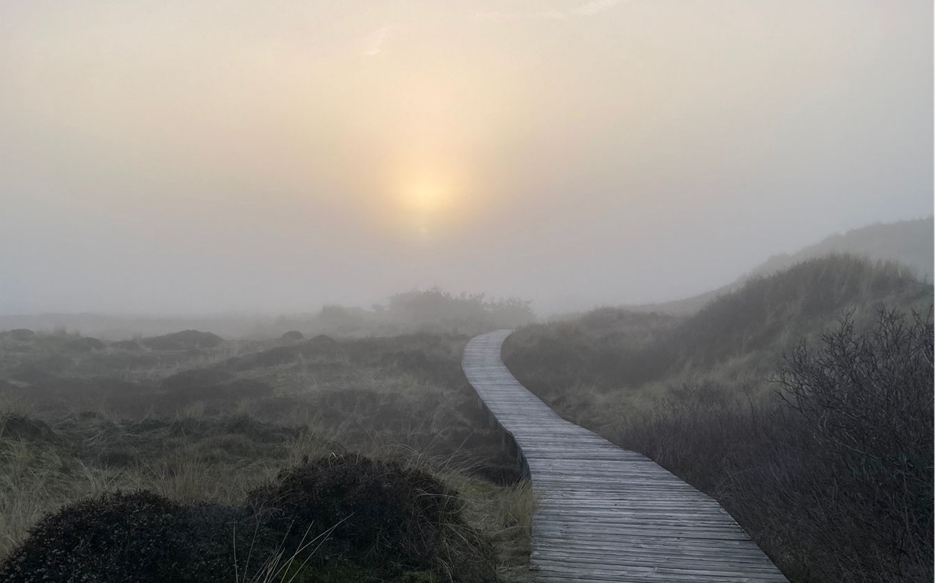 Es ist ein Weg in karger Landschaft zu sehen. Die Sonne geht gerade auf. 